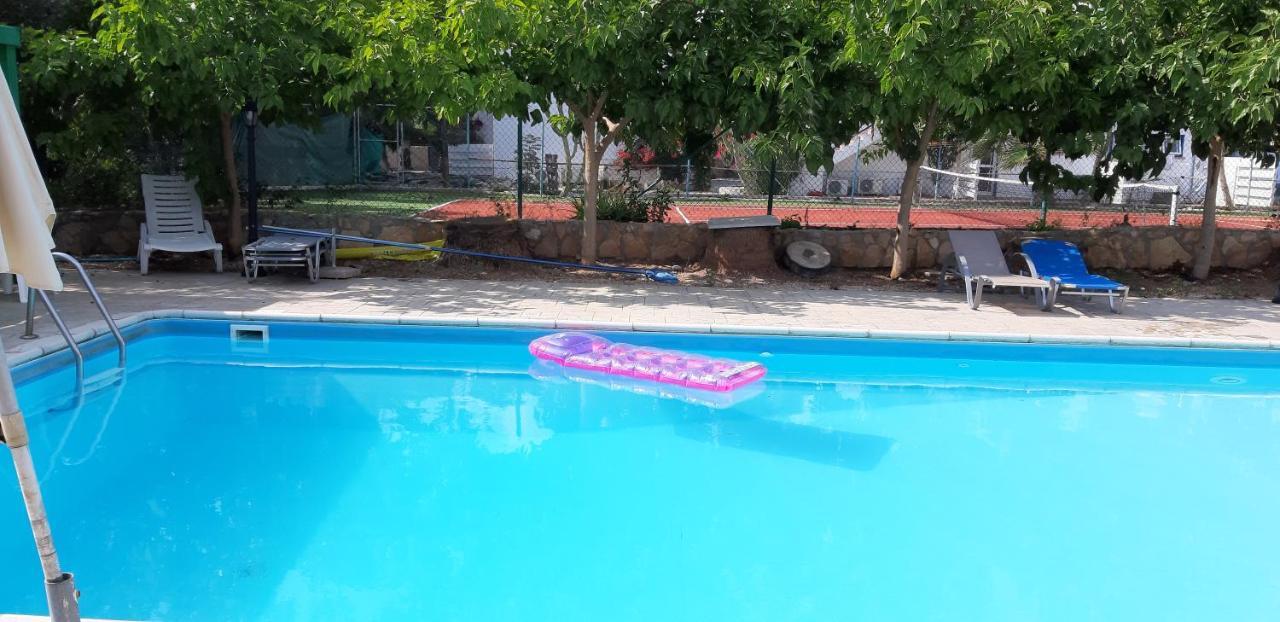 Amalia Apartments Polis Ngoại thất bức ảnh